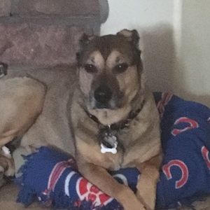 Meet your Posher, Deanna